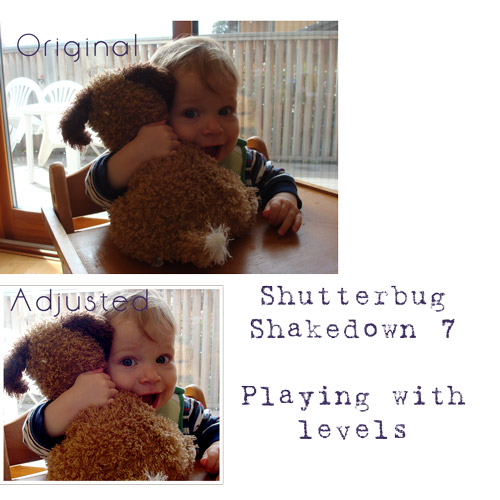 shutterbug71