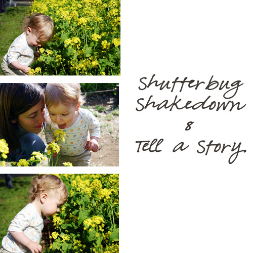 shutterbug8