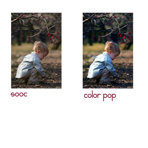 shutterbug_6