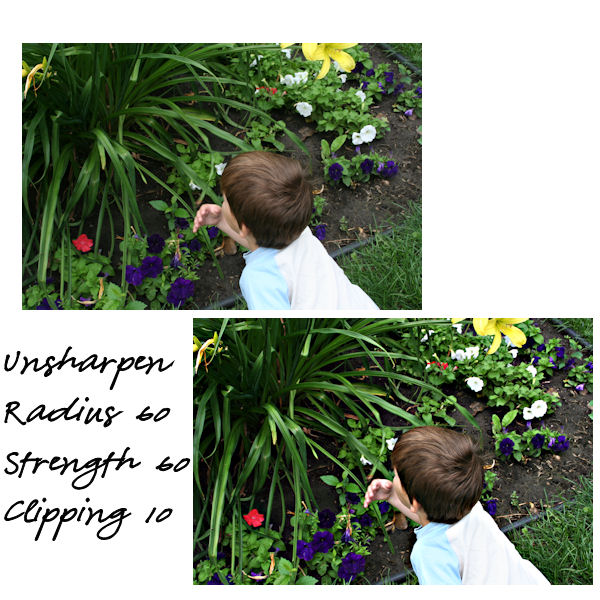 shutterbug_shakedown1