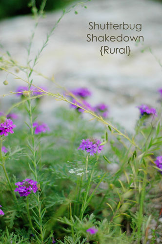 shutterbugshakedown-rural-w