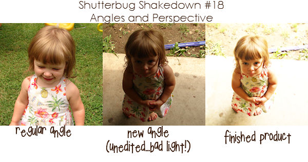 shutterbugshakedown18