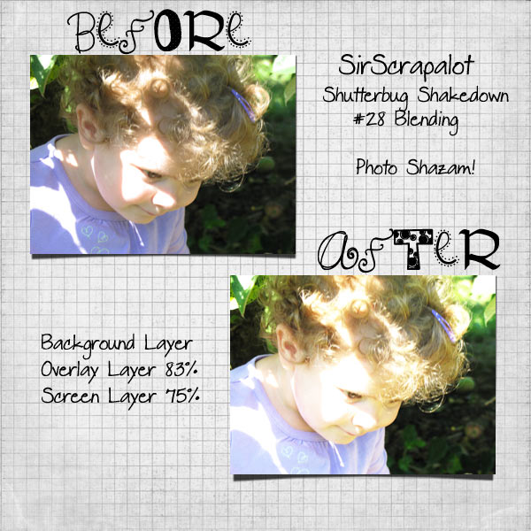 shutterbugshakedown_28