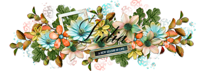 siggy-750x260