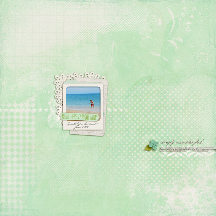 simply-wonderful-web