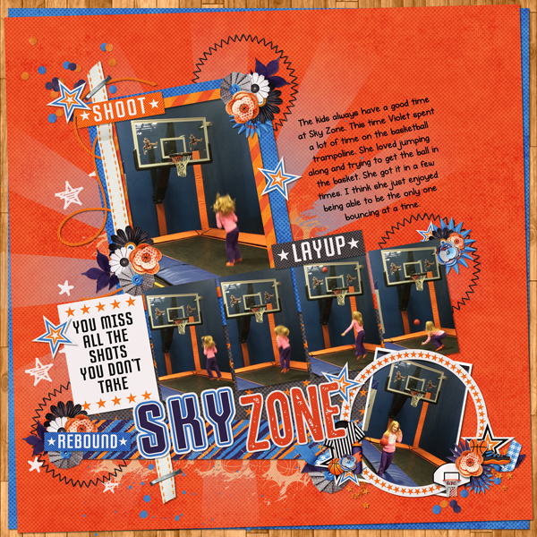 skyzone-2015-web