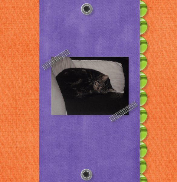 sleeping_meg
