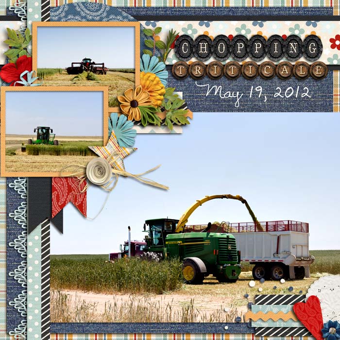 sm2012-5-triticale-left