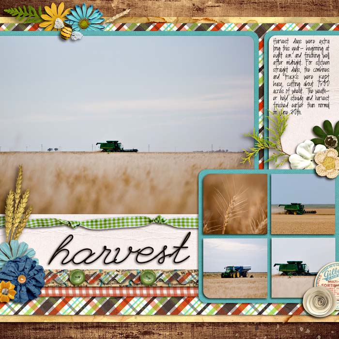 sm2012-6-wheatharvest-right