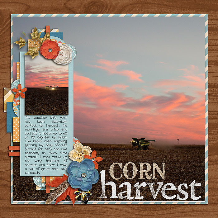 sm2013-10-cornharvest-left