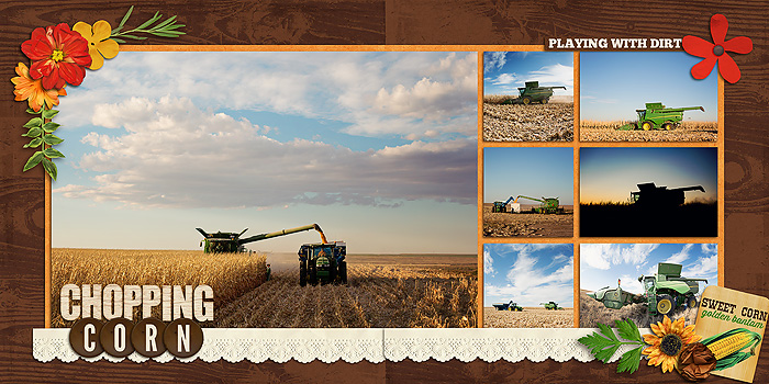 sm2013-11-cornharvest1