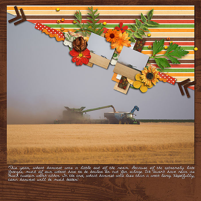 sm2013-7-wheatharvest-right