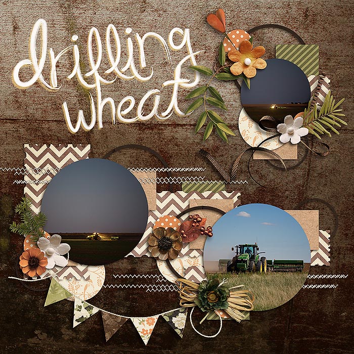 sm2013-9-drillingwheat