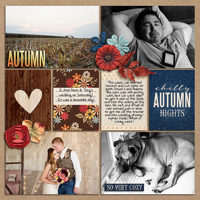 sm2014-10-week41-right