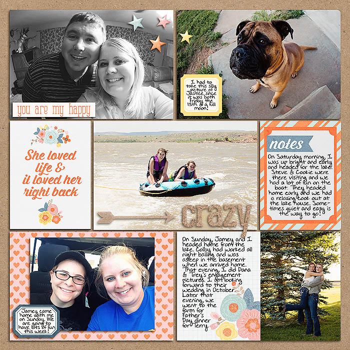 sm2014-6-week24-right