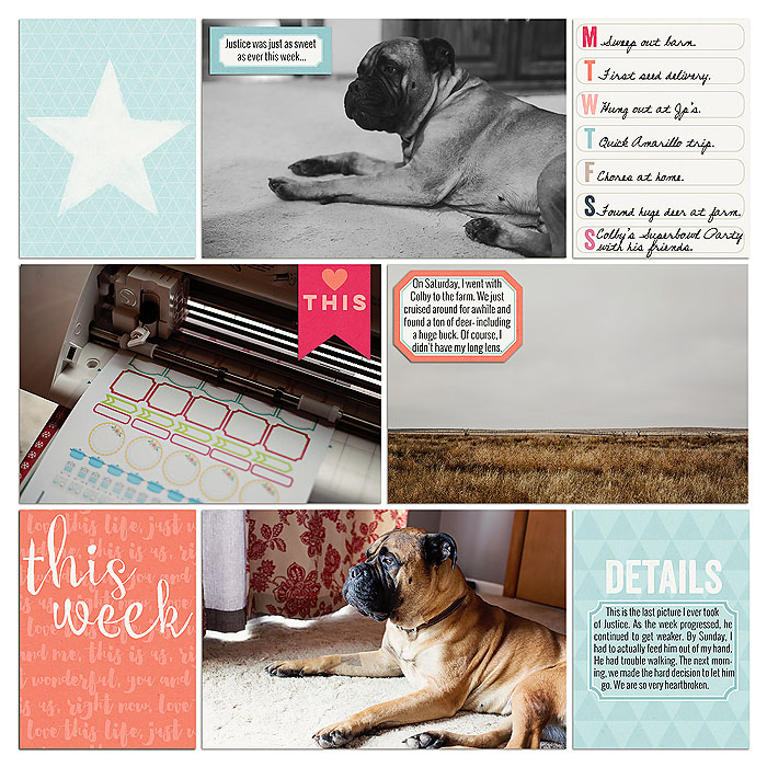 sm2015-1-week5-right