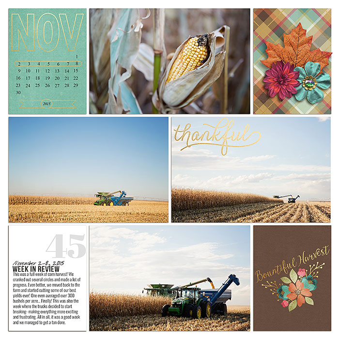 sm2015-11-week43-leftt