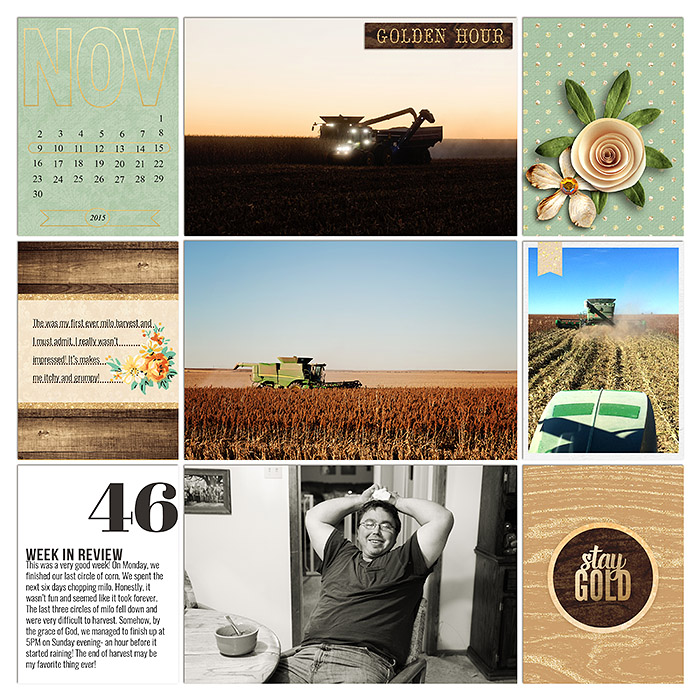 sm2015-11-week46-left