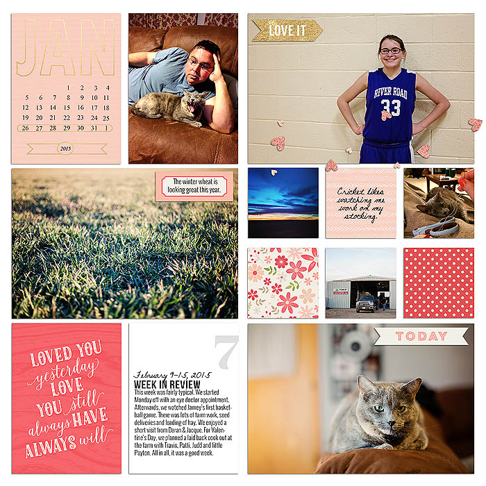 sm2015-2-week7-left