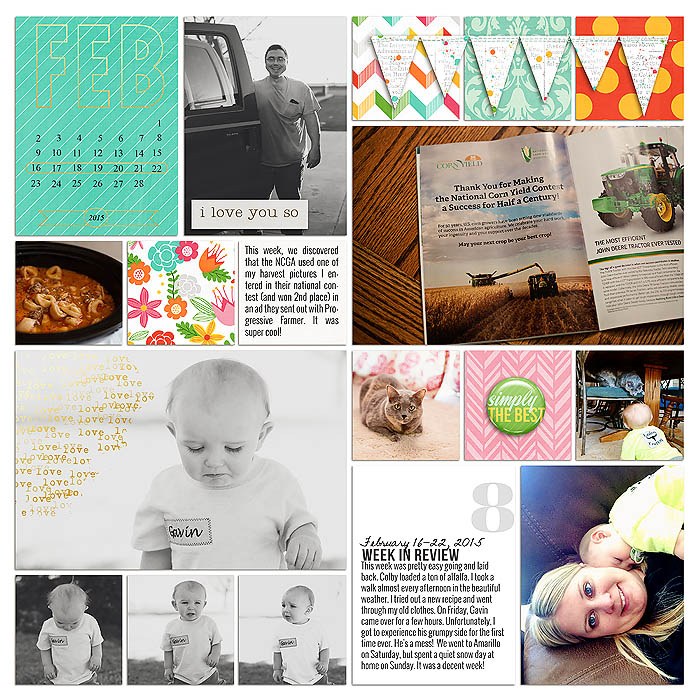 sm2015-2-week8-left