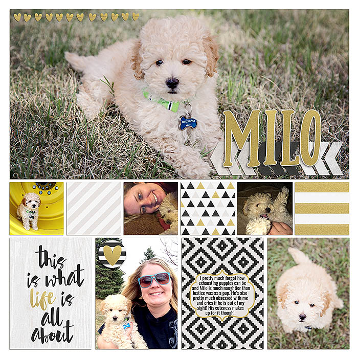 sm2015-4-week15-left
