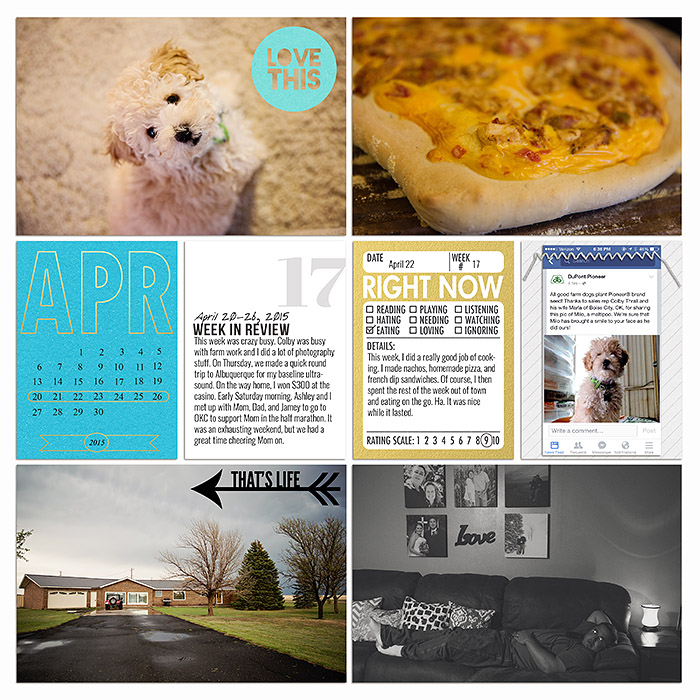 sm2015-4-week17-left