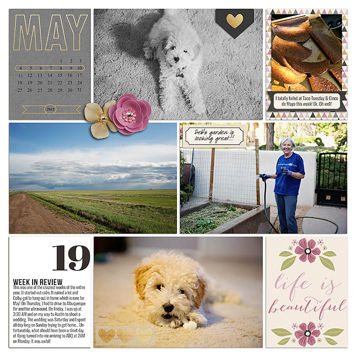 sm2015-5-week19-left