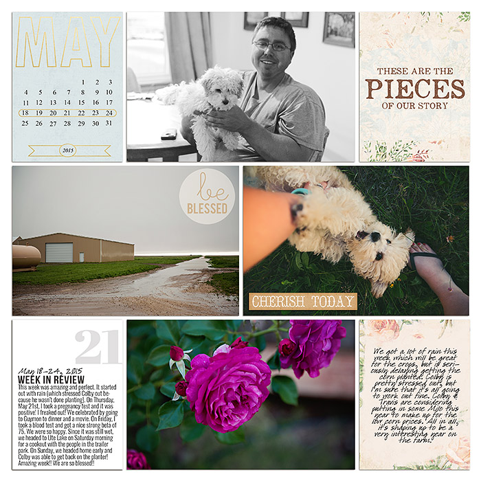 sm2015-5-week21-left