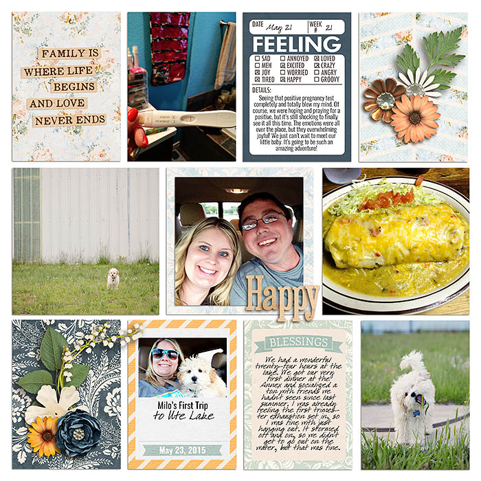 sm2015-5-week21-right