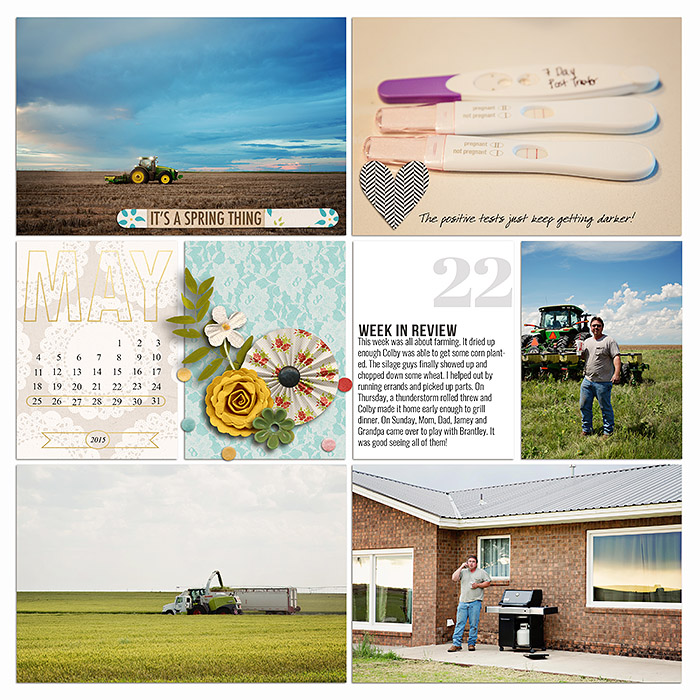 sm2015-5-week22-left