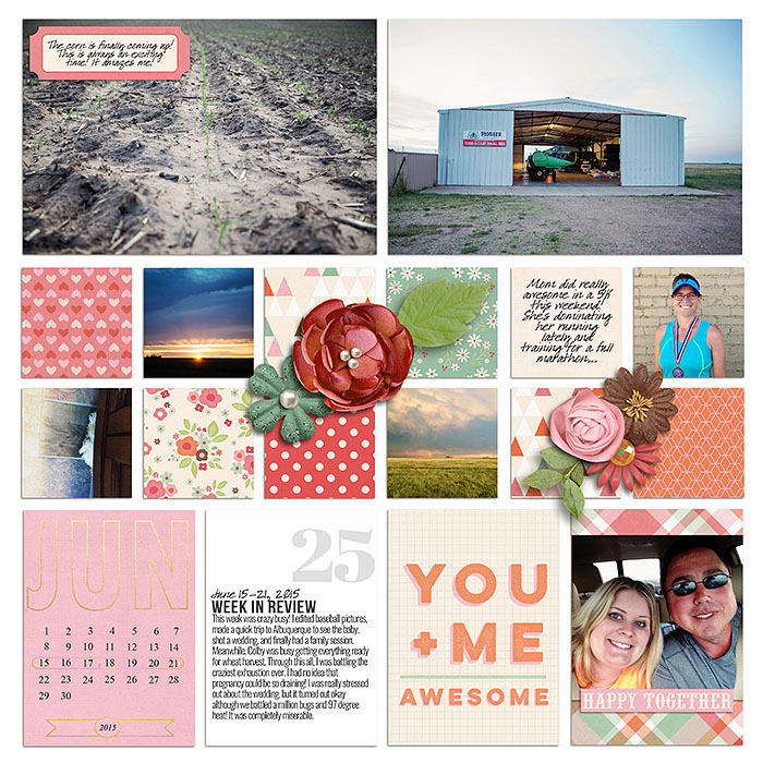 sm2015-6-week25-left