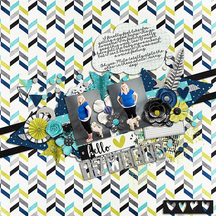 sm2015-8-seventeenweeks