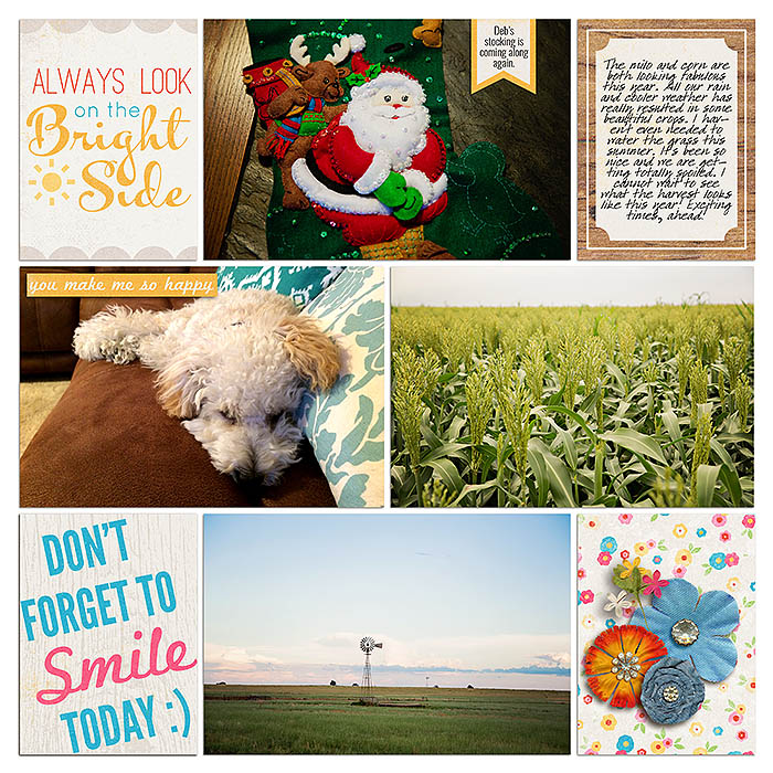 sm2015-8-week32-right
