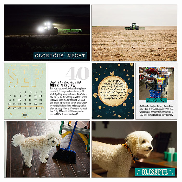 sm2015-9-week40-left