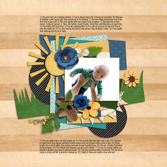 sm2016-4-30-sunshine-right
