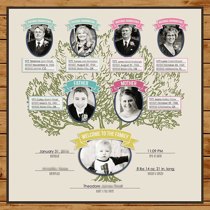 sm2017-1-31-teddysfamilytree-left
