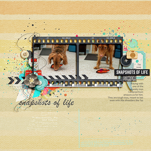 snapshotsoflife-copy