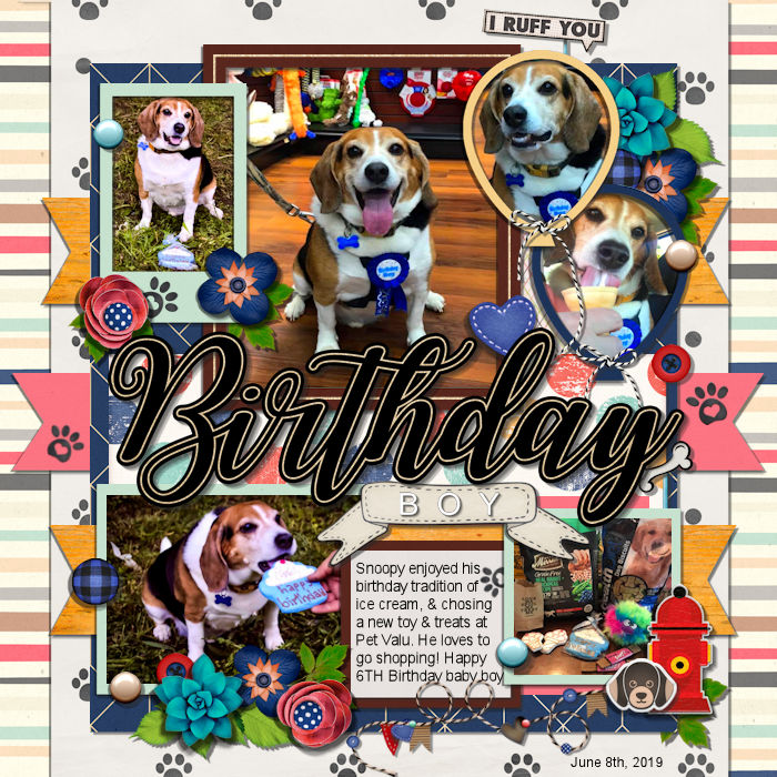 snoopys6thbirthday