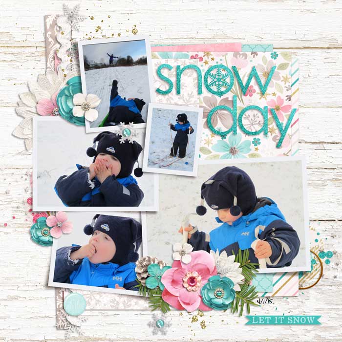 snowday_cam_web