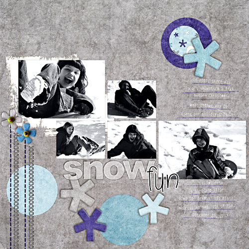 snowfun_1108