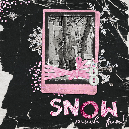 snowmuchfun1