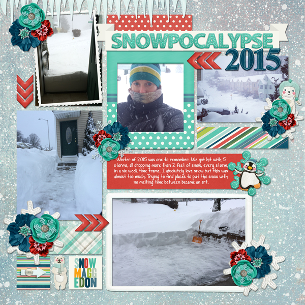 snowpocalypse-2015-web