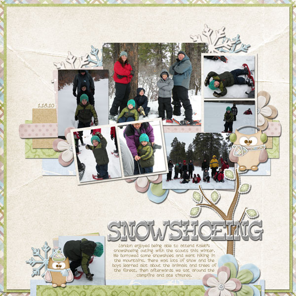 snowshoeing-wr1