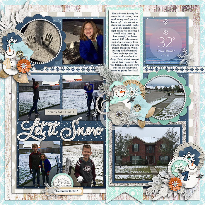 snowweb3