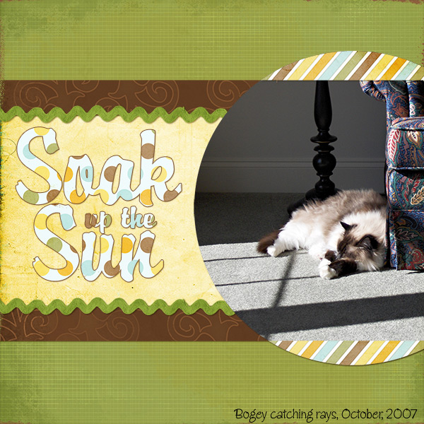 soakupthesun