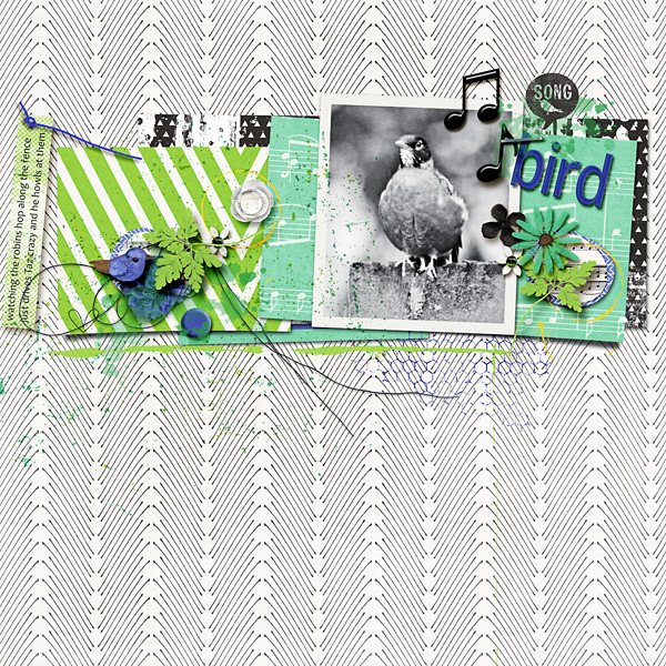 songbird-copy1