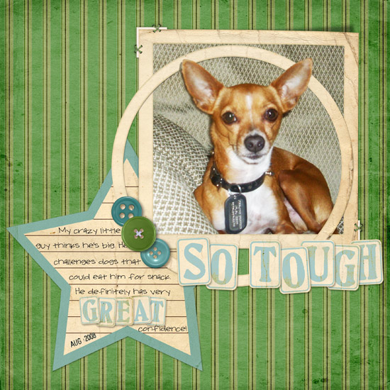 sotough-web