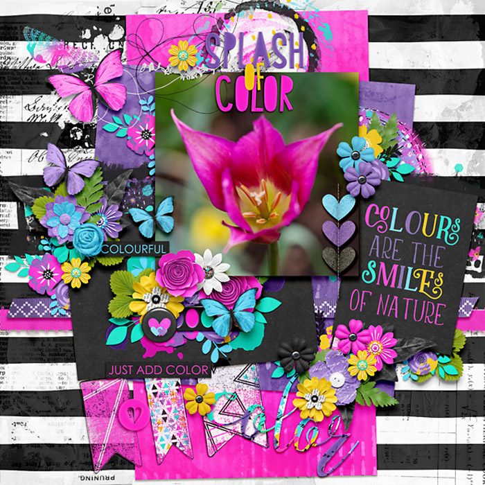 splashofcolor-copy