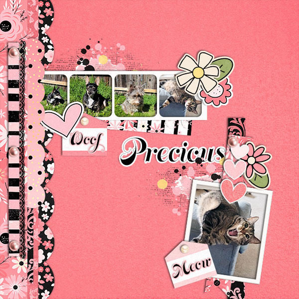 ssd-neopolitan-game-layout-10opt