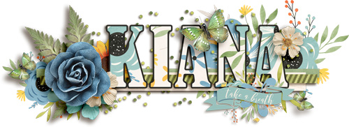 ssd_Jan2019Siggy-kiana